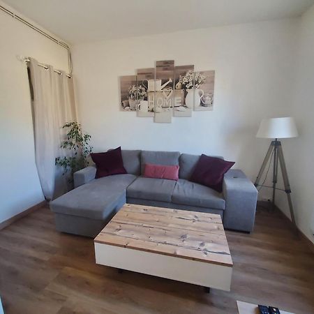 Appartement Lumineux En Centre-Ville Neuves-Maisons Kültér fotó